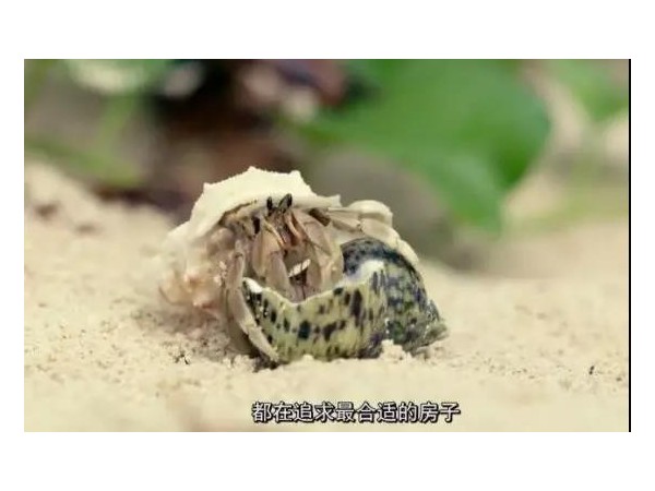會(huì)移動(dòng)的戶外廣告來了，根本不夠看！
